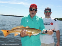 Tampa Bay Redfish
